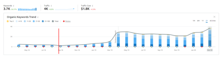 International Market SEO - Endera Case 