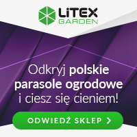 litex google campaign