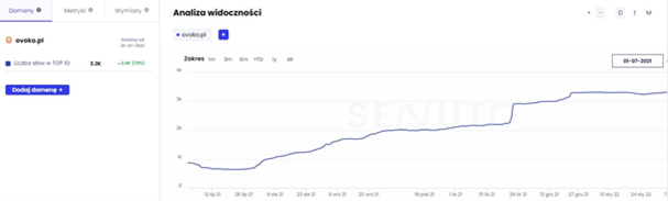 increase in visibility automotive industry seo case study 